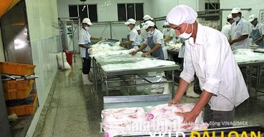 Xuất khẩu lao động Đài Loan tuyển nam đóng gói bột tháng 12/2022 22