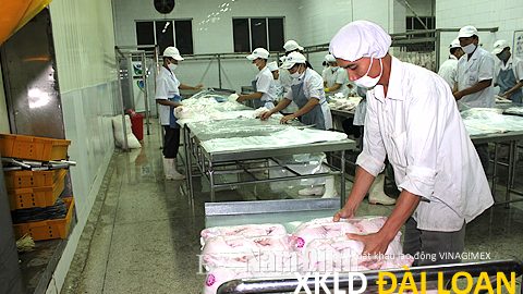 Xuất khẩu lao động Đài Loan tuyển nam đóng gói bột tháng 12/2022 2